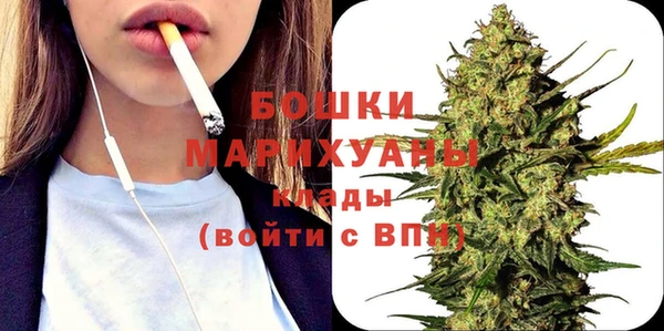тгк Бородино
