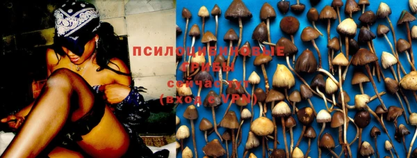 МДПВ Бугульма