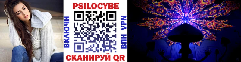 Галлюциногенные грибы Psilocybine cubensis  закладка  Кашин 